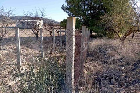 Finca i Caudete, Albacete, Caudete - € 29.995 | Ref: SF0480 - foto 14